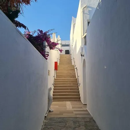 Nagi Gümbet