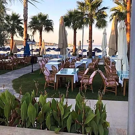 ناجي بيتش 3*